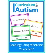Reading Comprehension Yes or No Clip Cards